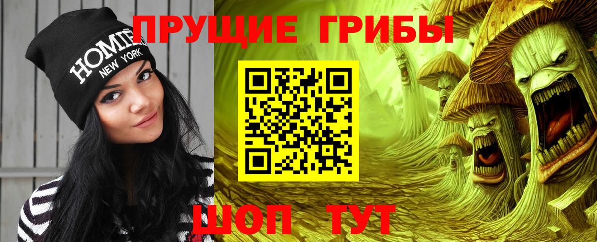 Галлюциногенные грибы Cubensis Заинск